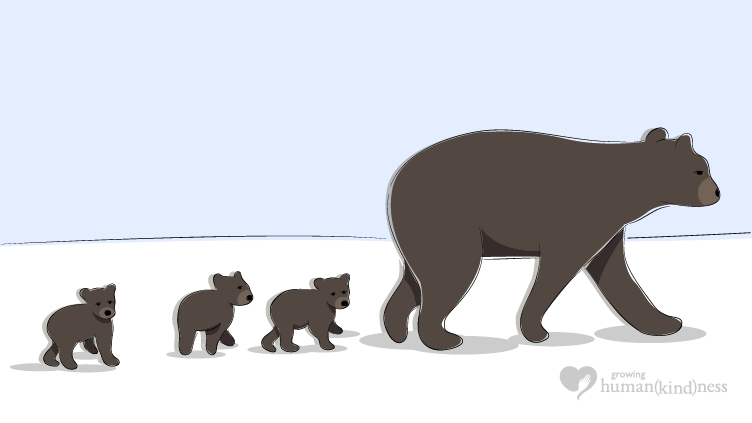 Bear cubs following mother bear - helping kids eat healthy food