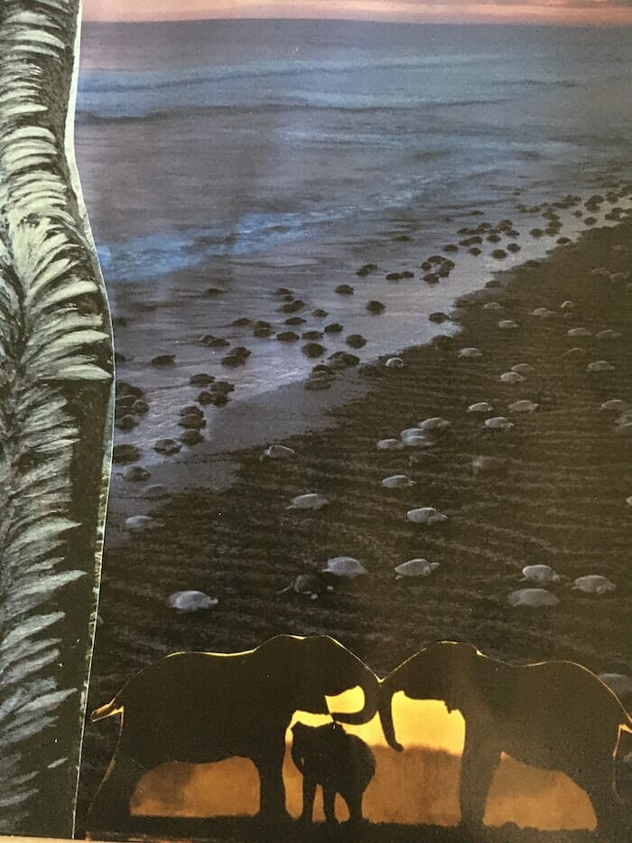 The yearning for healing and the fear of missing out - Growing ...